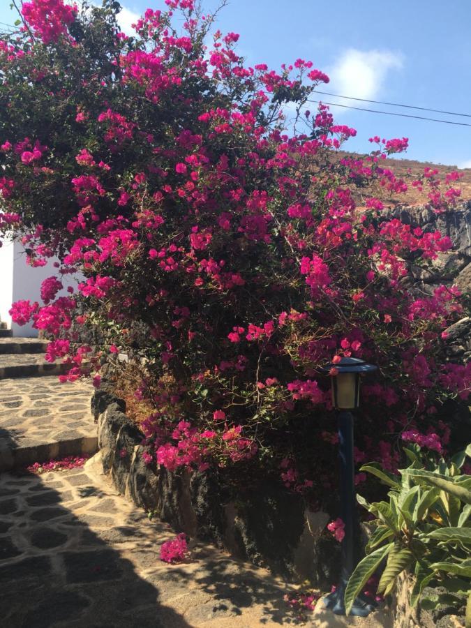 Brisas Complex, 104