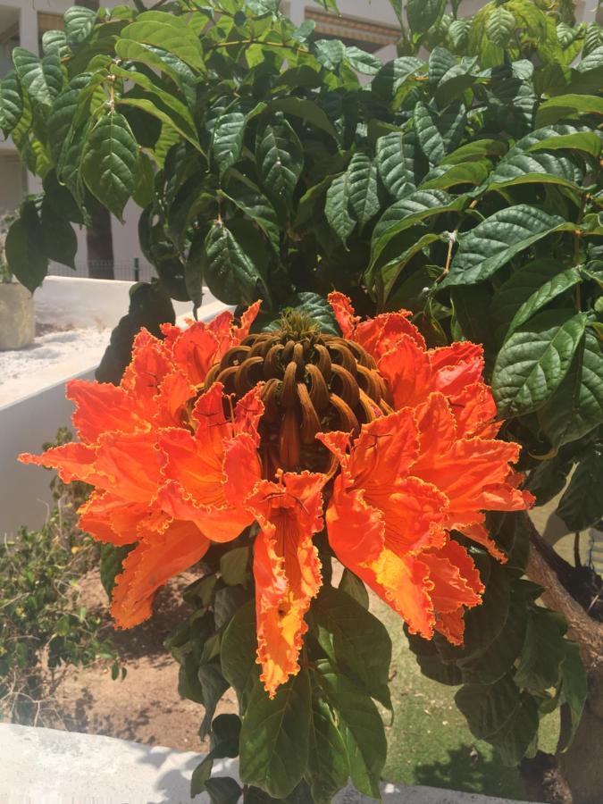 Holiday home Brisas Complex, 104 Playa Blanca (Lanzarote)